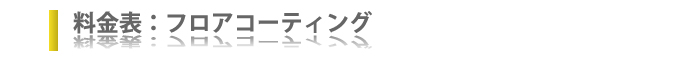 料金表:フロアコーティング