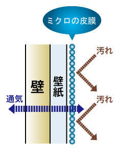 ミクロの皮膜